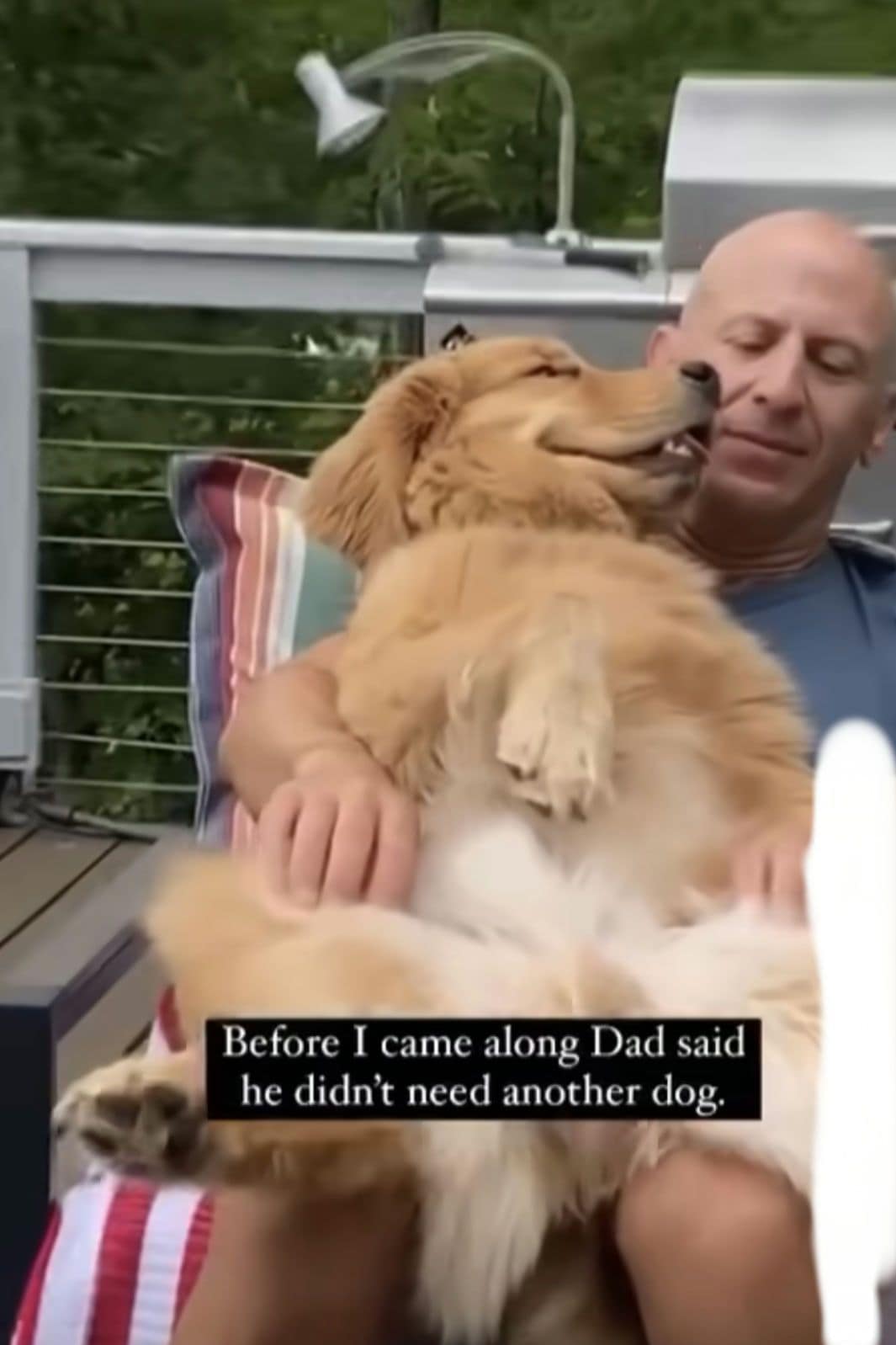 A wholesome old memes screenshot of a video showing a bald man happily snuggling a large Golden Retriever. The caption reads: "Before I came along Dad said he didn't need another dog."