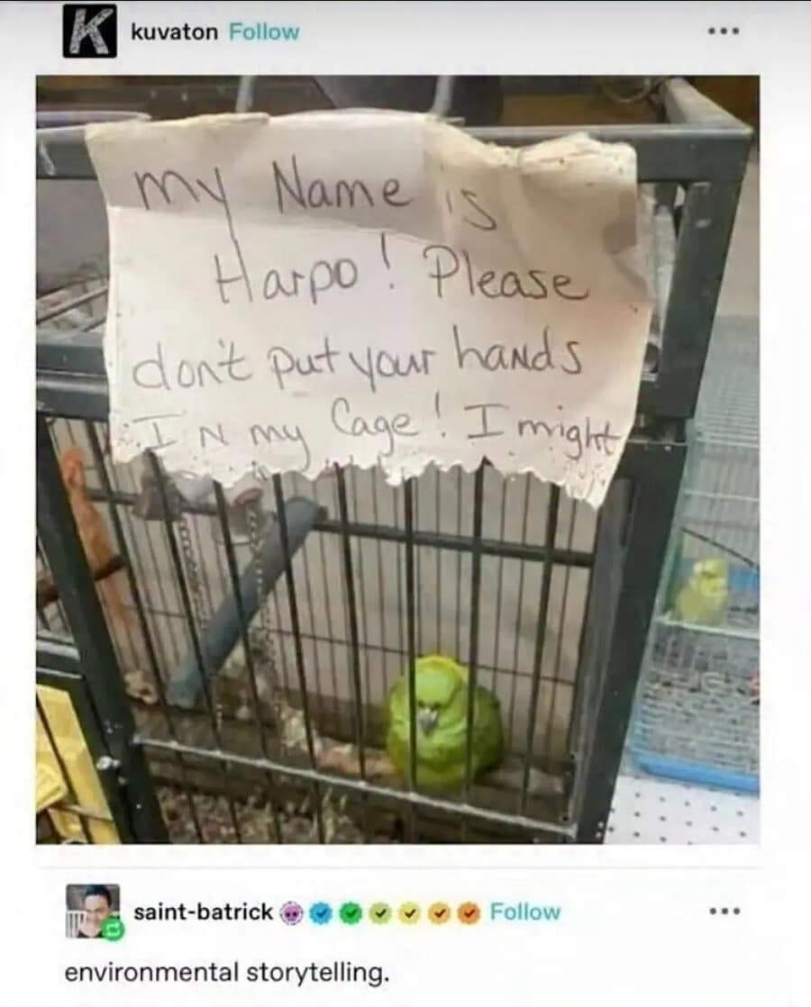 hilarious example of "environmental storytelling" featuring a small green parrot named Harpo. A torn note on his cage reads, "Please don't put your hands IN my cage! I might," with the rest of the paper ripped off, presumably by Harpo, leaving his intended violence to the imagination.