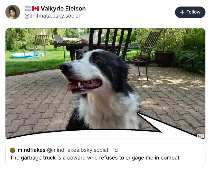 A classic meme featuring a happy Border Collie in a sunlit yard. A speech bubble is drawn in, revealing the dog's internal warrior monologue: "The garbage truck is a coward who refuses to engage me in combat."