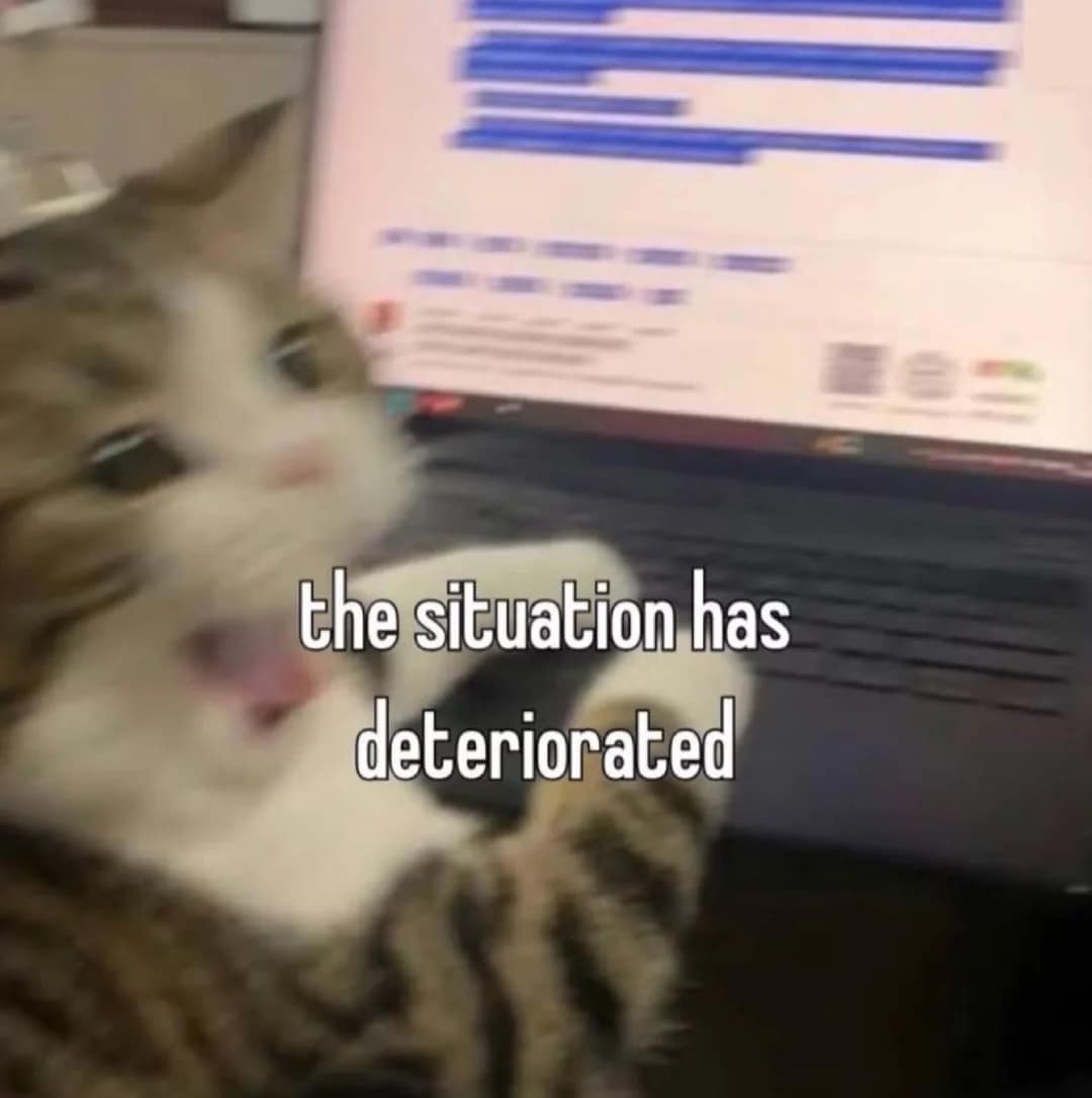 A high-energy classic meme showing a blurry, wide-eyed tabby cat sitting in front of an open laptop, appearing to scream in digital distress. The text "the situation has deteriorated" is centered over the chaotic image.