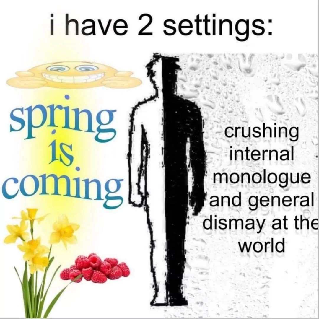 A dual-mood classic meme depicting a white silhouette of a man split down the middle. The left side is bright with a sun and flowers, labeled "spring is coming," while the right side is dark and labeled "crushing internal monologue and general dismay at the world."
