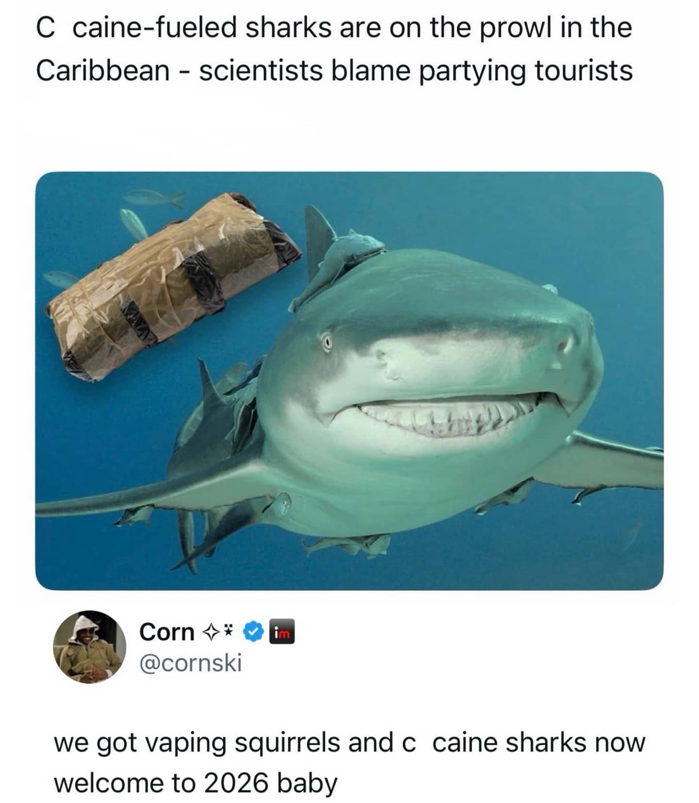 Smiling shark swimming near a package in the ocean with a comment about 2026 wildlife.