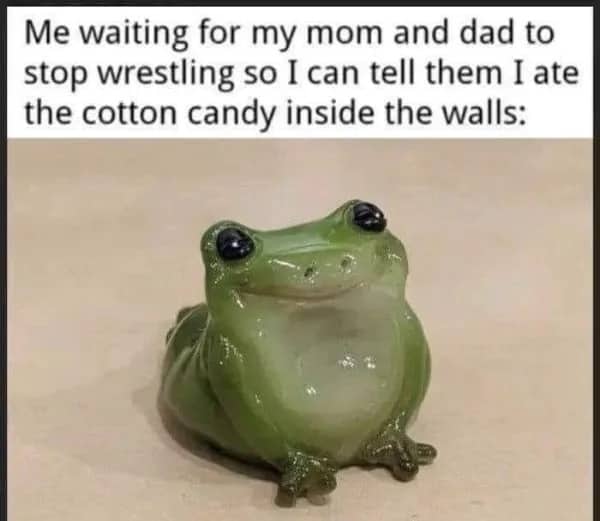 Small green frog figurine with a caption about eating pink fiberglass insulation mistaken for cotton candy.