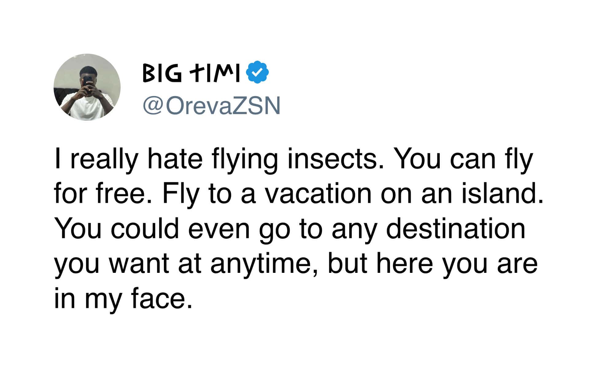 An exasperated funny tweet by BIG TIMI (@OrevaZSN) complaining about flying insects who waste their ability to travel to tropical islands just to hang out in his face.