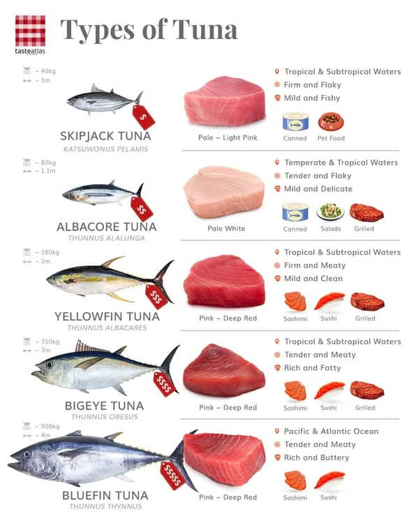 An interesting food fact chart detailing different "Types of Tuna." It compares five species—Skipjack, Albacore, Yellowfin, Bigeye, and Bluefin—noting their size, meat color ranging from pale white to deep red, and price points from budget canned fish to premium sashimi