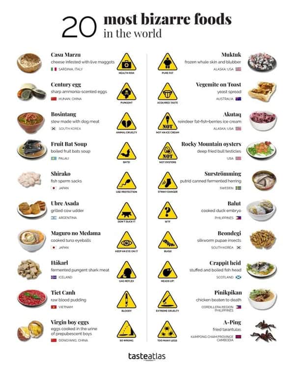 An interesting food fact list titled "20 Most Bizarre Foods in the World." It uses yellow caution icons to warn of the "acquired tastes" and cultural delicacies of items like Shirako (fish sperm sacks), Balut (duck embryo), and Fried Tarantulas
