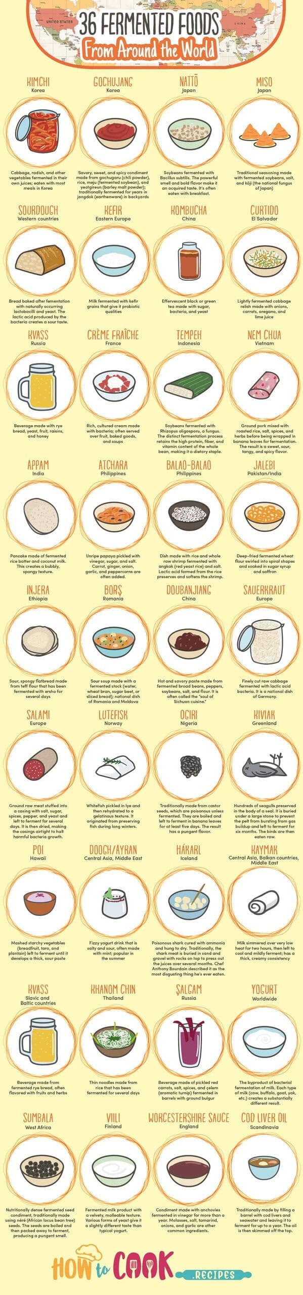 A comprehensive interesting food fact infographic titled "36 Fermented Foods From Around the World." It explains the probiotic benefits and origins of staples like Kimchi (Korea), Kefir (Eastern Europe), Tempeh (Indonesia), and Worcestershire Sauce (England).