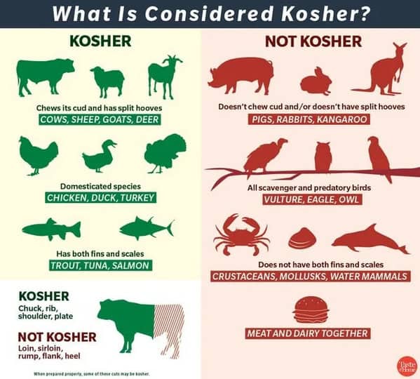 comparative chart titled "What Is Considered Kosher?" It details food facts regarding Jewish dietary laws, categorizing animals like cows and trout as Kosher while labeling pigs, scavengers, and shellfish as Not Kosher. It also notes the prohibition against mixing meat and dairy.