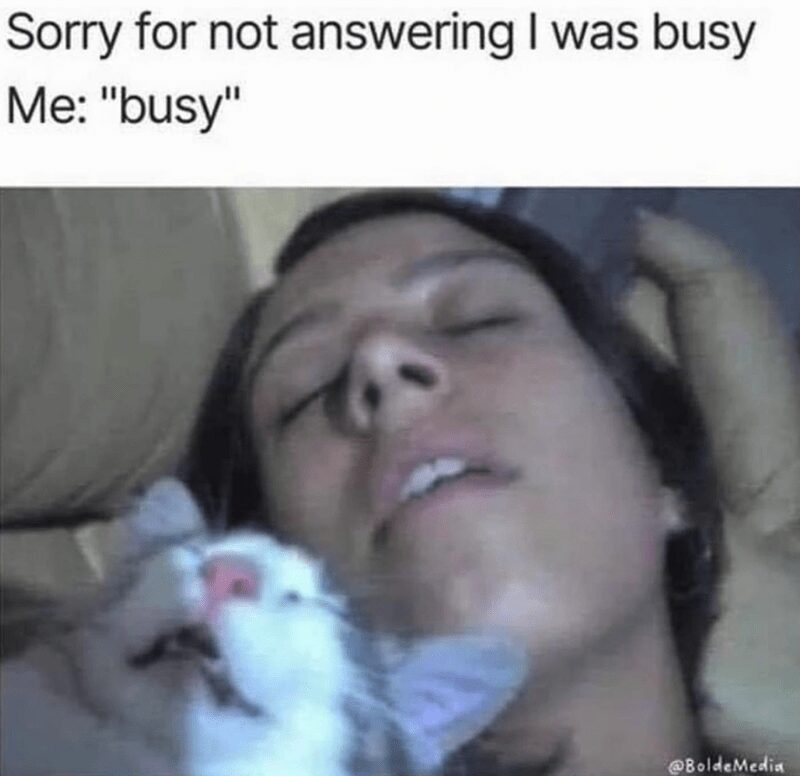 relatable introvert meme showing a woman and a cat both fast asleep with their mouths slightly open. The text at the top says, "Sorry for not answering I was busy," and the bottom text clarifies, "Me: 'busy'".