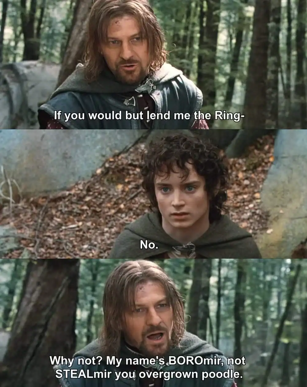 pun-heavy lotr meme from the Amon Hen scene. When Frodo refuses to give Boromir the Ring, Boromir indignantly shouts: "Why not? My name's BOROmir, not STEALmir you overgrown poodle."