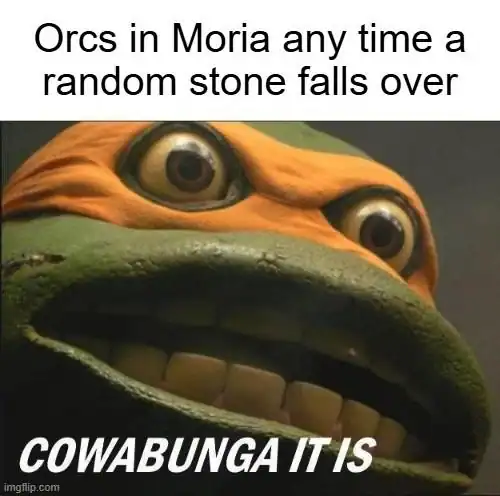 high-energy lotr meme featuring a bug-eyed Michelangelo from the Teenage Mutant Ninja Turtles movies. The caption reads: "Orcs in Moria any time a random stone falls over: COWABUNGA IT IS."