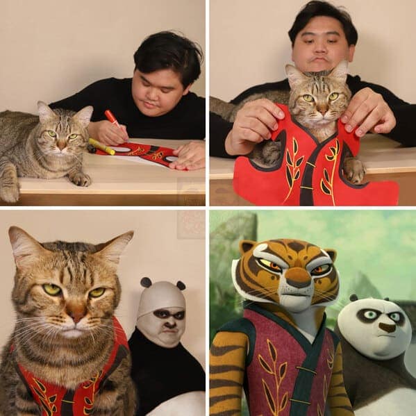 hilarious low cost cosplay guy four-panel transformation into the stars of Kung Fu Panda. He fashions a red vest for his tabby cat to become Tigress, while he paints his own face and torso in black and white to perfectly replicate Po the panda’s intense scowl.
