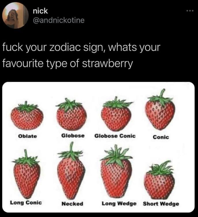 A funny meme that discards traditional zodiac signs in favor of a botanical chart of strawberry shapes, asking users to choose their favorite morphology between options like "Globose Conic," "Necked," or "Short Wedge."