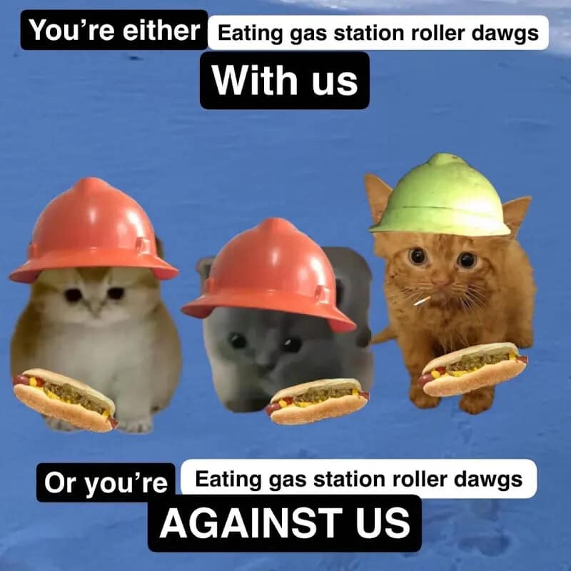 A high-energy funny memes edit featuring three kittens in construction hard hats and pith helmets holding gas station roller dogs. The caption reads: "You're either eating gas station roller dawgs WITH US or you're... AGAINST US."