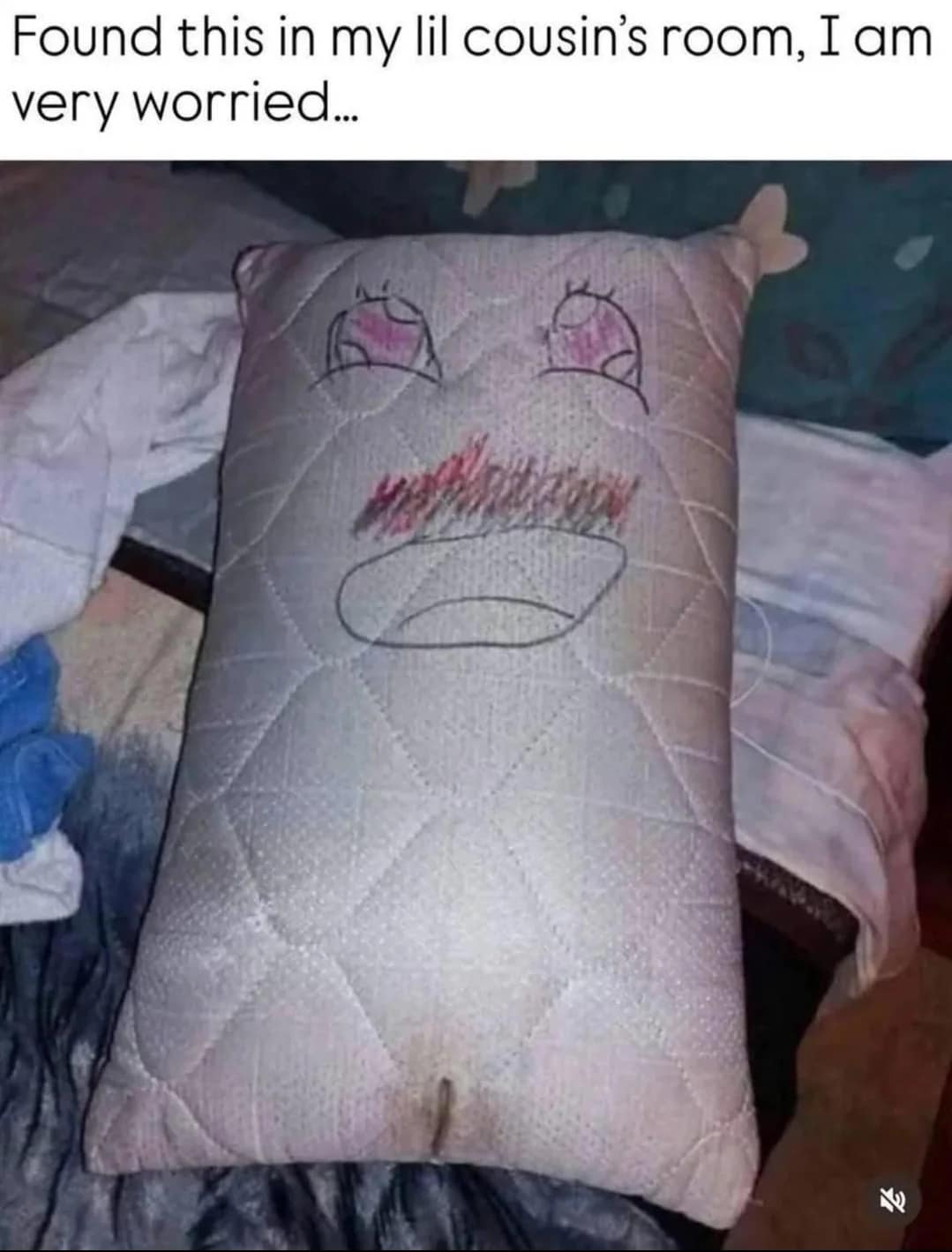 A deeply concerning meme dump photo of a quilted pillow found in a "lil cousin's room." An anime-style blushing face has been drawn on it with marker, and there is a suggestive brown stain located at the very bottom center of the pillow.
