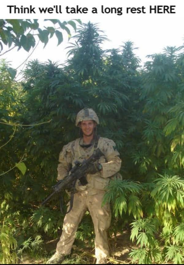 Smiling soldier posing in front of large cannabis field captioned "Think we'll take a long rest here"
