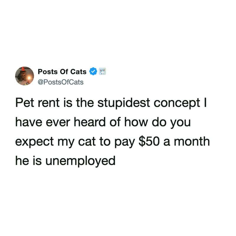 hilarious money meme tweet by Posts Of Cats (@PostsOfCats) criticizing the logic of landlords. It reads: "Pet rent is the stupidest concept I have ever heard of how do you expect my cat to pay $50 a month he is unemployed."