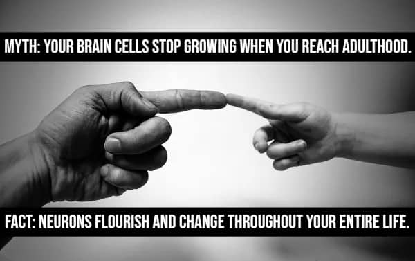 Adult and child fingertips touching myth vs fact brain cells keep growing in adulthood