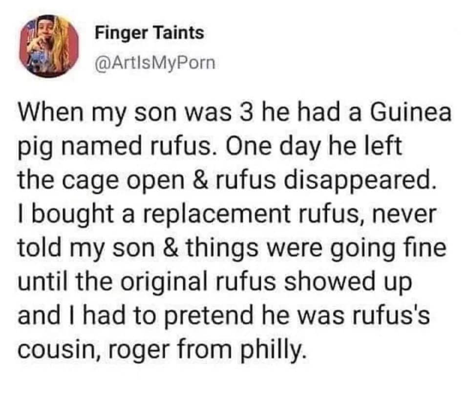 oddly specific tweet from @ArtIsMyPorn about a desperate parenting lie. After replacing a lost guinea pig named Rufus, the original Rufus returned, forcing the parent to introduce the second pet as "Rufus's cousin, Roger from Philly."
