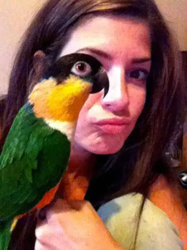 uncanny perfectly timed animal photo selfie where a colorful parrot is perched so close to a woman's face that the bird's eye perfectly overlaps her own, creating a surreal human-parrot hybrid face.