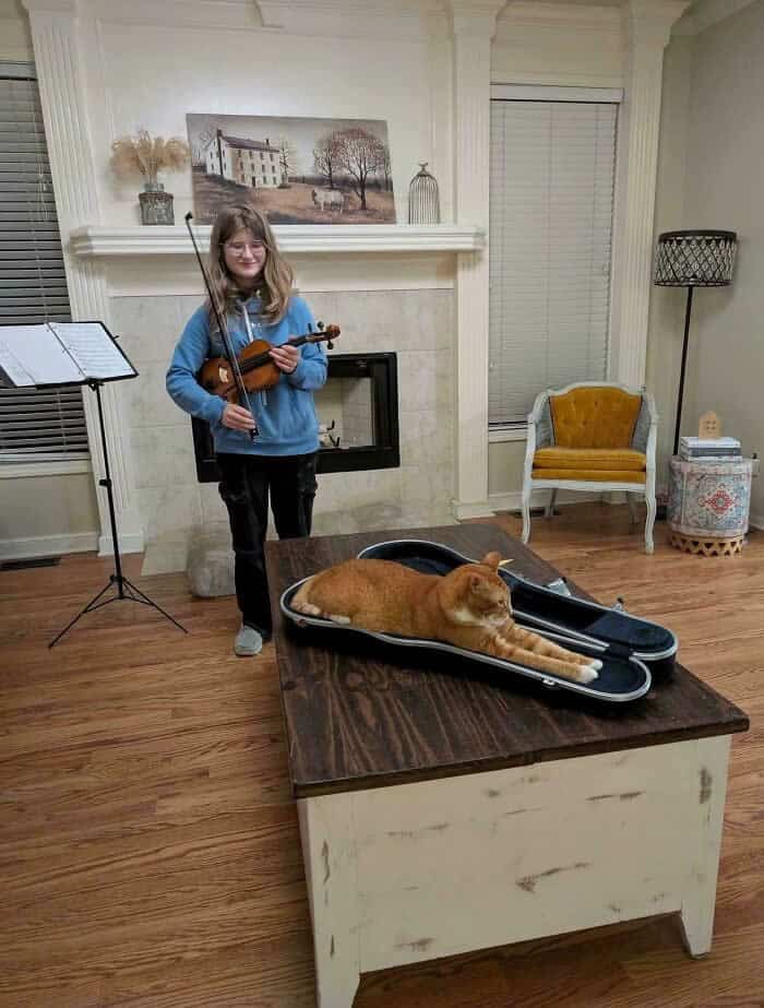 A wholesome perfectly timed animal photo of a girl preparing to play the violin. Her long ginger cat has climbed into the open violin case on the table and stretched out perfectly, becoming the "instrument" for the afternoon.