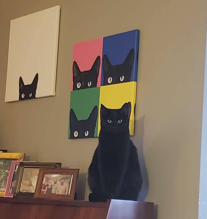 A perfectly timed animal photo featuring a solid black cat sitting on a ledge. Behind the cat are pop-art canvases of a black cat, and the real cat is sitting so precisely that its ears line up with the ears of the painted cat, creating a recursive silhouette.
