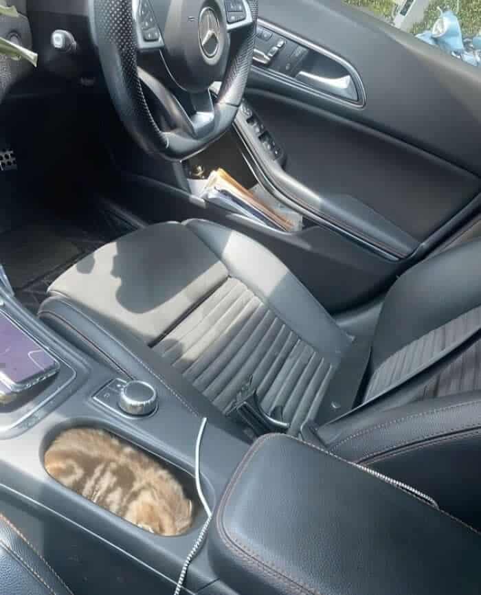 perfectly timed animal photo taken inside a Mercedes, showing a tiny kitten curled up and fast asleep. The kitten has found the ultimate "if I fits, I sits" spot, being nestled perfectly inside the circular cup holder of the car's center console.