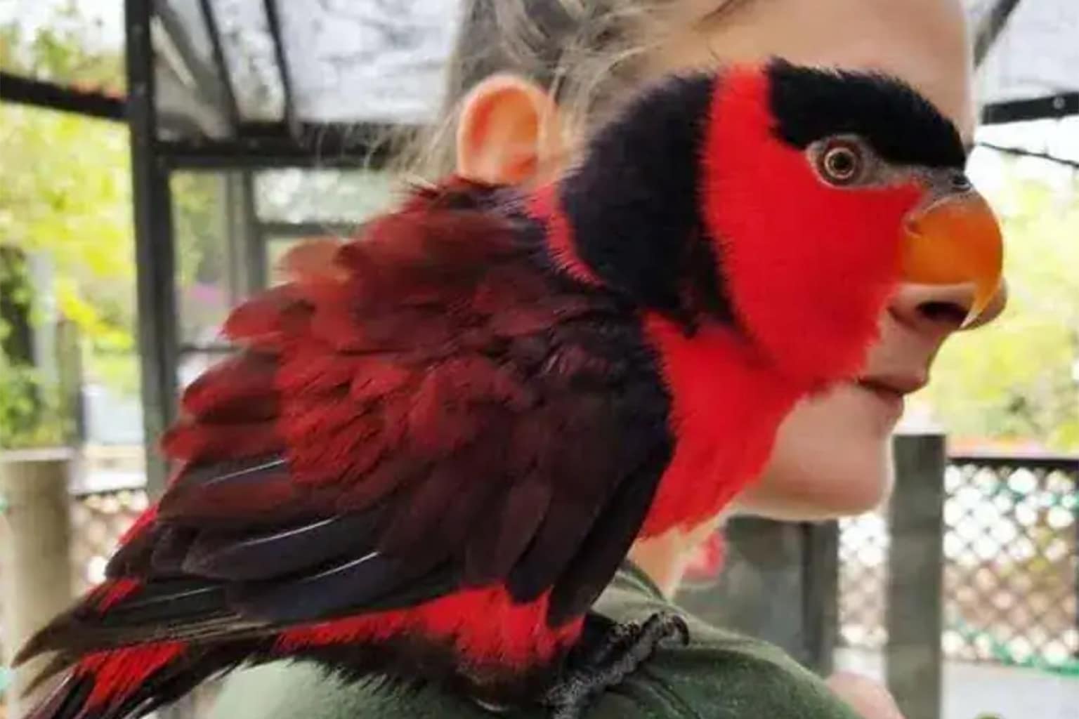 The April 04 perfectly timed animal photos collection is a high-octane showcase of "Glitch-in-the-Matrix" photography, where perspective and luck transform pets into surreal mythological creatures.