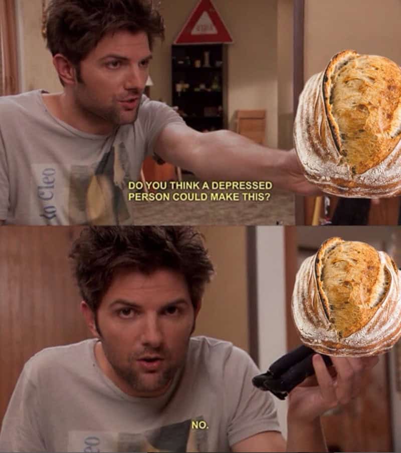Parks and Recreation Ben Wyatt meme asking if depressed person could make sourdough bread