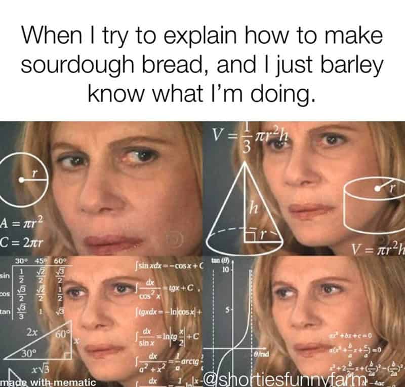 Confused math woman meme about not understanding sourdough bread baking process