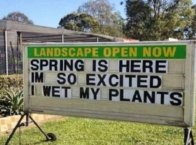 Landscaping business sign reading "Spring is here I'm so excited I wet my plants" plant pun
