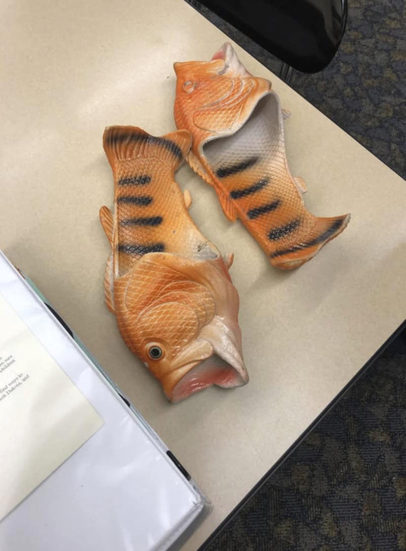 Realistic orange bass fish-shaped sandals sitting on a desk in a classroom