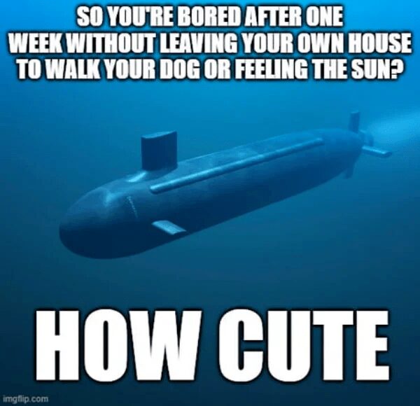 gatekeeping submarine meme featuring a nuclear sub submerged in deep blue water. The text mocks people complaining about home isolation: "So you're bored after one week without leaving your own house to walk your dog or feeling the sun? HOW CUTE."