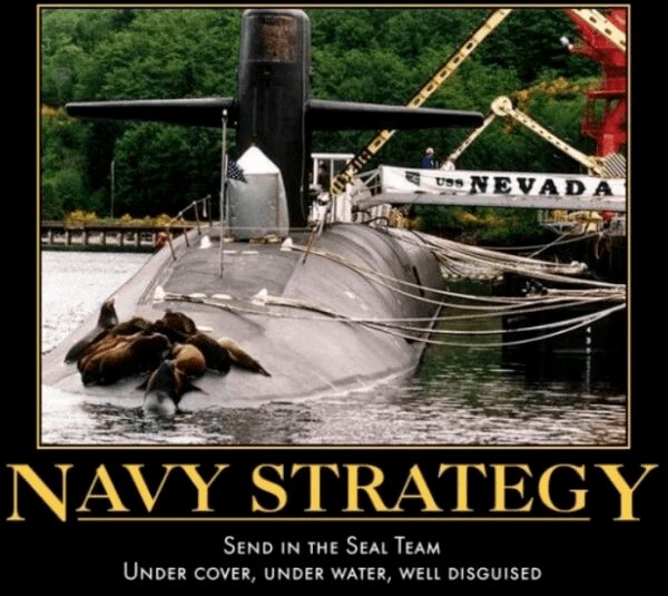 A pun-heavy submarine meme showing the USS Nevada at port with a group of actual seals resting on its hull. The caption reads: "NAVY STRATEGY: Send in the Seal Team. Under cover, under water, well disguised."