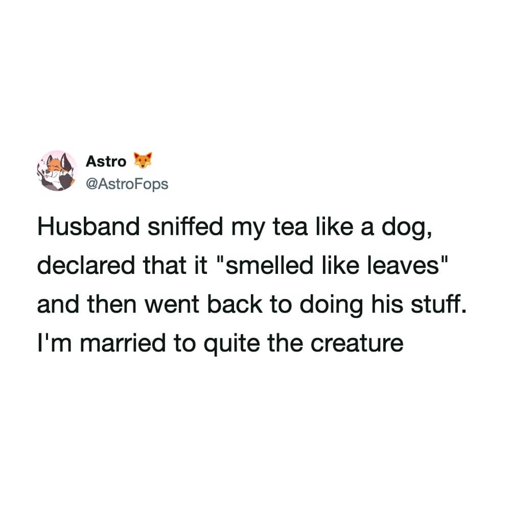 Tweet by Astro describing her husband sniffing her tea and declaring it smells like leaves.