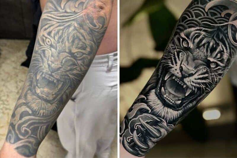Faded grey tiger tattoo touched up into sharp roaring black and grey tiger tattoo coverup.