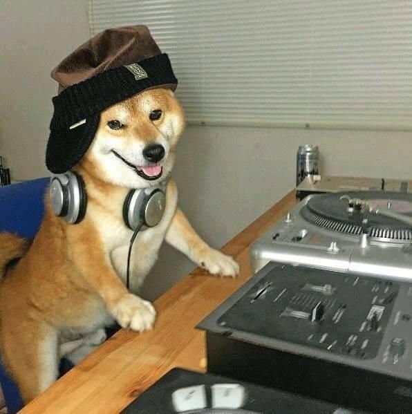 Shiba Inu wearing a beanie hat and headphones around its neck, smiling behind DJ turntables and a mixing board setup.