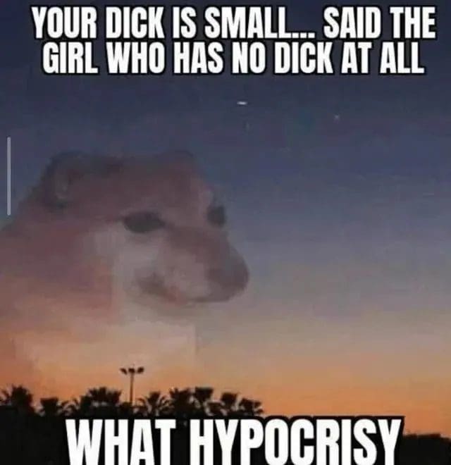 Faded cat face over a sunset sky with a crude caption about hypocrisy.