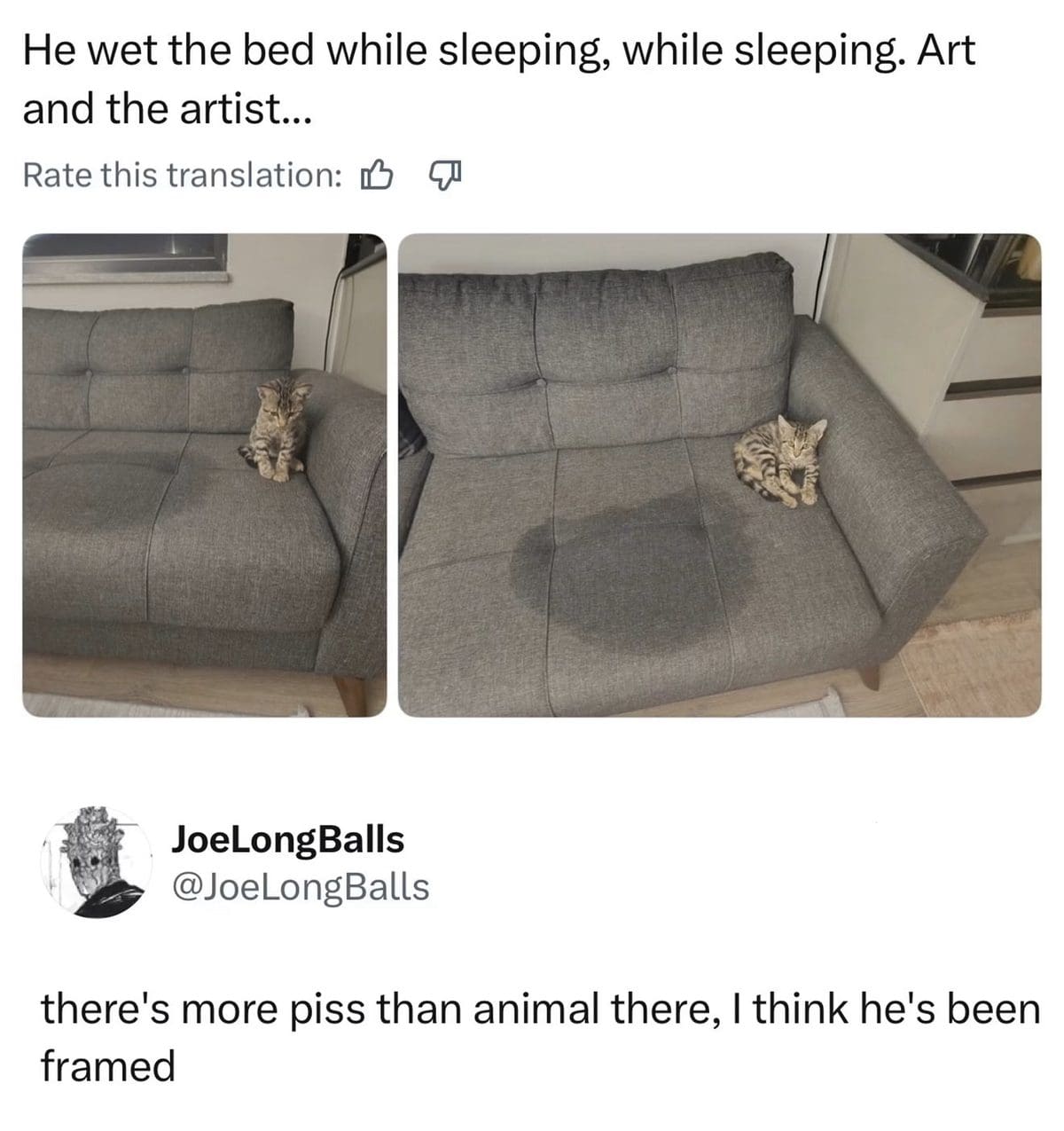 Tiny kitten sitting beside a suspiciously large wet stain on a gray couch.