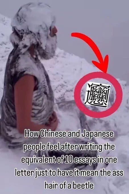 Person covered in snow beside a very complex Chinese character, joking about its meaning.