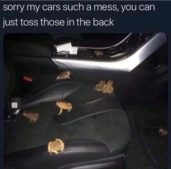 Toads scattered across a dark car seat, one of the best funny memes about messy cars.