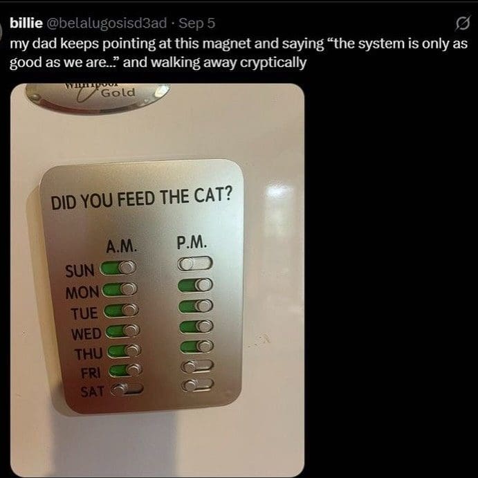 Did you feed the cat fridge magnet with toggles for each day, several switched off.