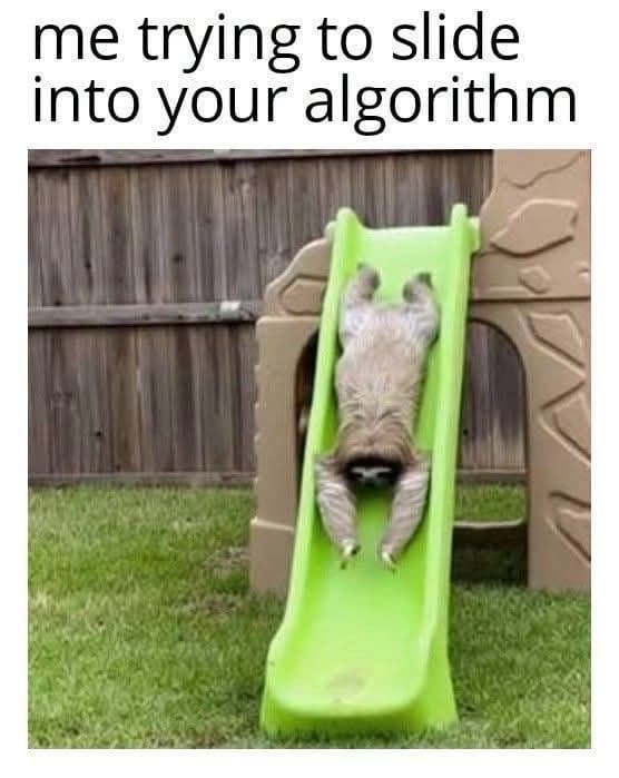 Sloth sliding headfirst down a green playground slide, captioned as sliding into your algorithm.