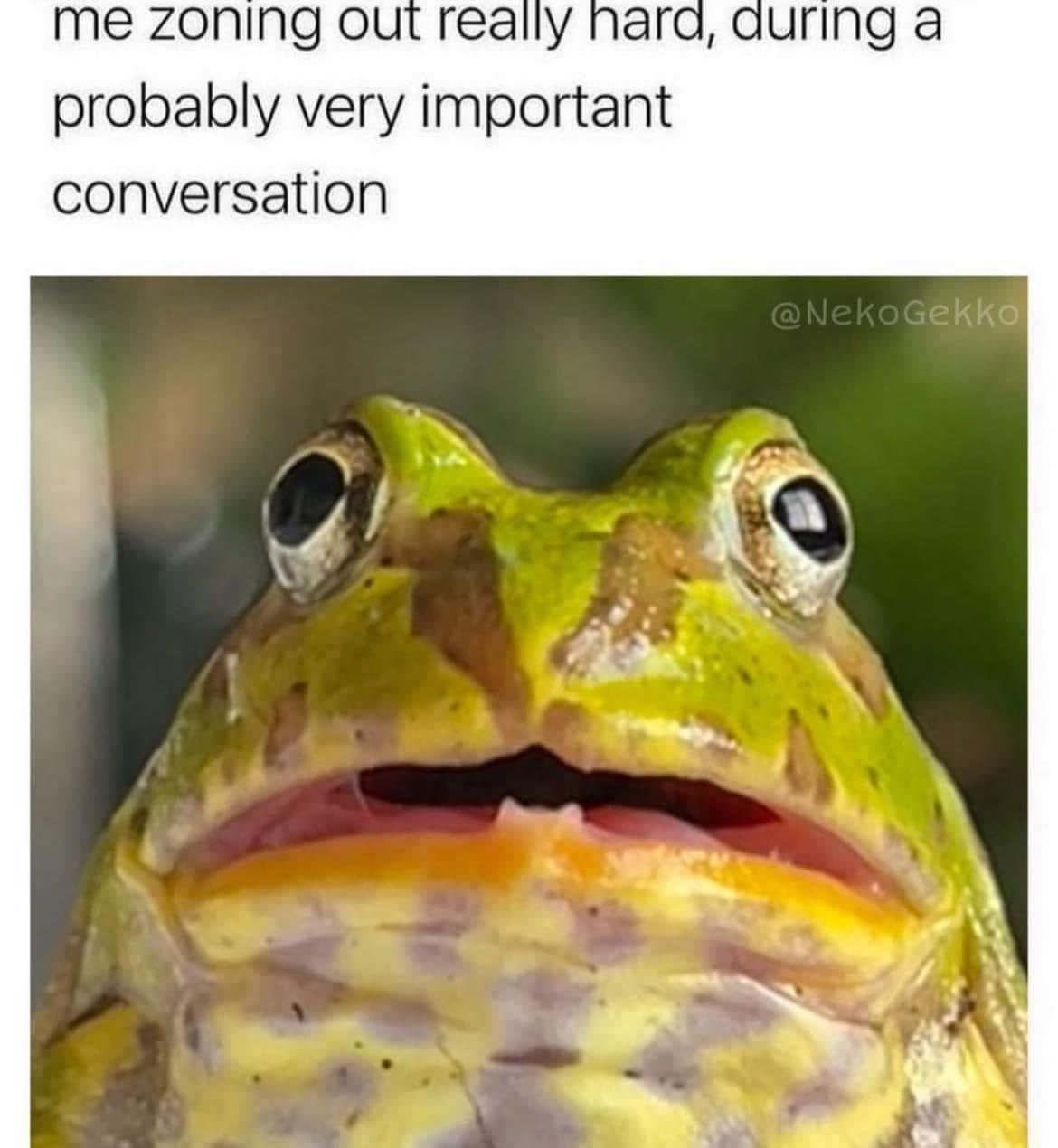 Wide-eyed frog staring blankly, one of the classic memes about zoning out mid conversation.