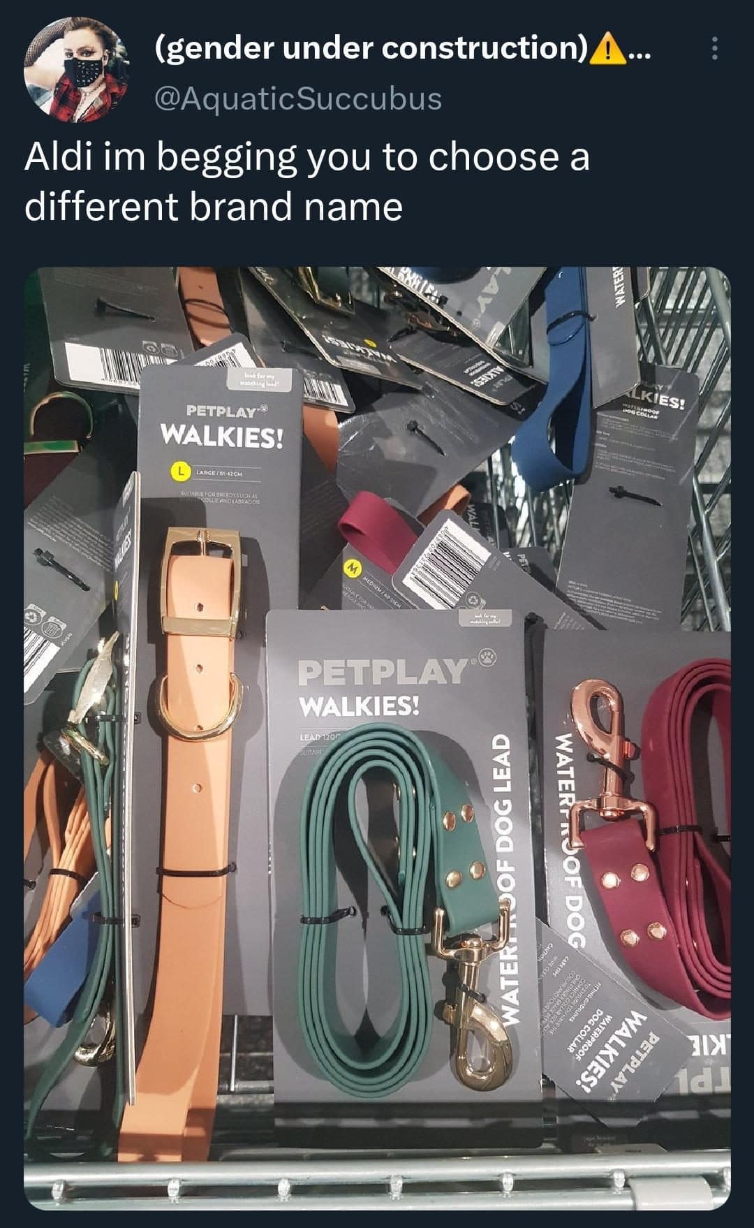 Aldi dog leashes and collars sold under the unfortunate brand name PetPlay Walkies.