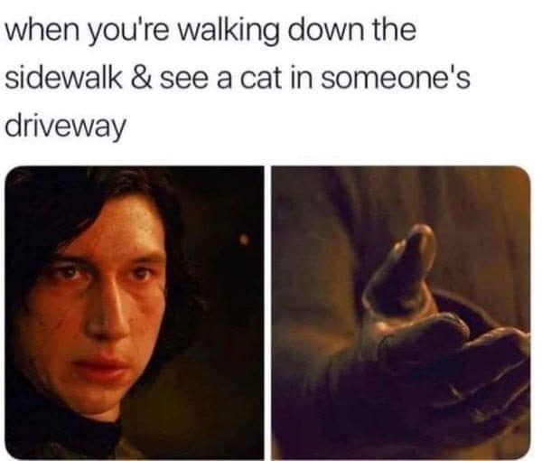 Classic memes pairing Kylo Ren reaching out with spotting a cat in a driveway.