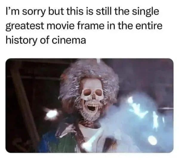 Home Alone frame of Marv electrocuted into a skeleton, called cinema's single greatest frame.