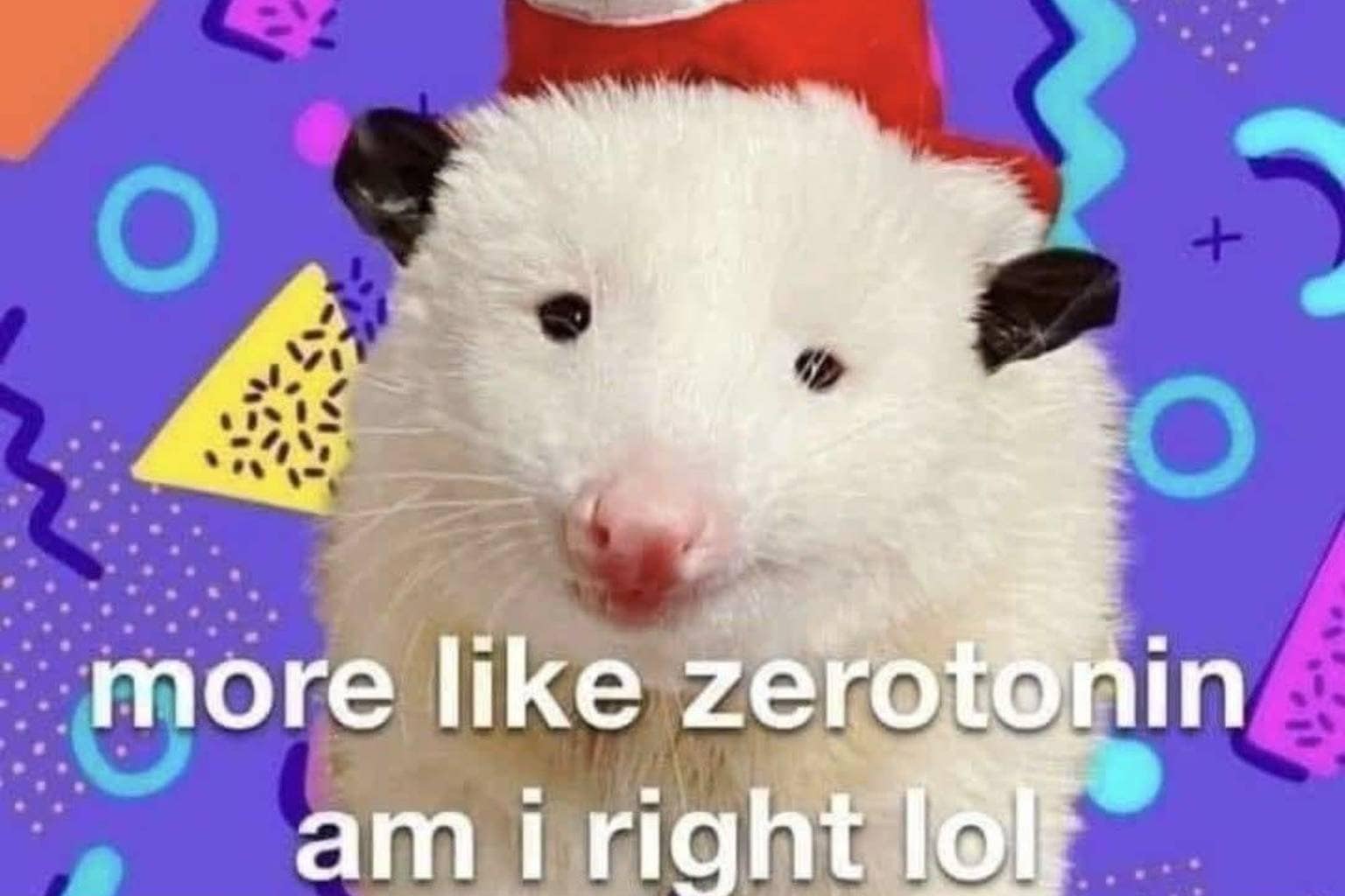 A stellar classic memes gallery bursting with internet humor and viral pop-culture gags, featuring Fireball whiskey smuggled inside a hollowed-out baguette, a massive fat orange cat causing a school mountain lion lockdown, and John Travolta clad in glowing grid armor as 'TRON JAVOLTA'.