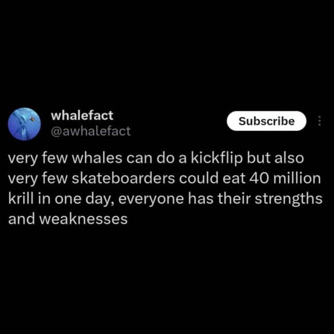 Tweet from a whale fact account weighing the strengths of whales against skateboarders.