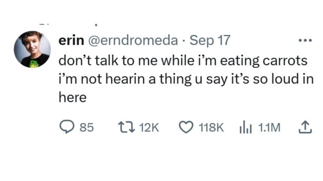 Tweet saying don't talk while I'm eating carrots because it's too loud in here.